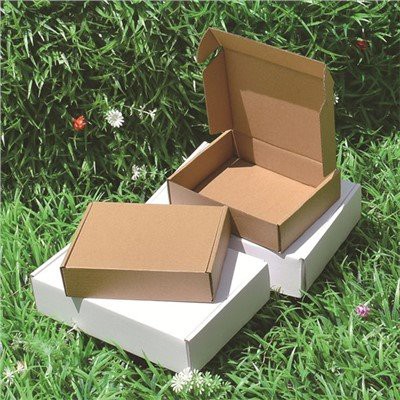 ব্রাউন ক্রাফট মেইলার বক্স